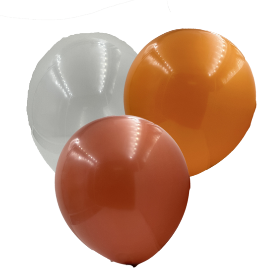 Assortment Nuetral Colors Latex Party Balloon, 12in, 10ct